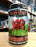 Revision IPA 355ml Can